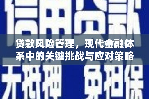 新北贷款风险管理，现代金融体系中的关键挑战与应对策略